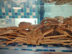 -碗中海·蒸汽海鲜·桑拿鸡(岭南天地店)