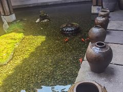 -几荷·恰似故人来(秀水广场店)