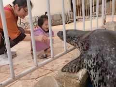 -芜湖新华联大白鲸海洋公园