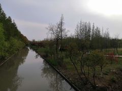 -上海长兴岛郊野公园