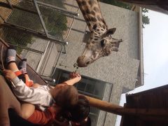 iphone_upload_pic-石家庄市动物园