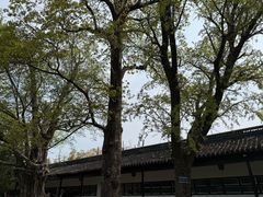 -苏州文庙(姑苏区)
