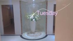 -伊芙世家美颜美养SPA