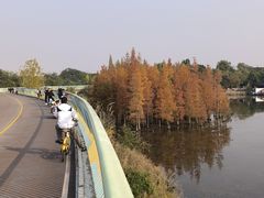 -白鹭湾湿地公园