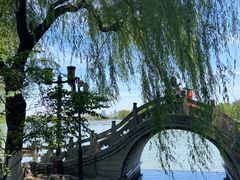-济南大明湖景区