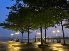-深圳湾公园(南山区)