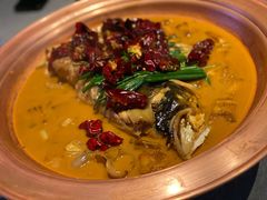 段氏绝味鱼头-柿合缘新京菜(国金中心商场店)