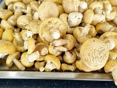 -撒拉人家.酸菜牦牛肉火锅