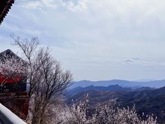 -妙峰山风景名胜区