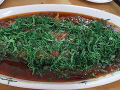 -老字号怡玺·藿香雅鱼(20年雅安店)