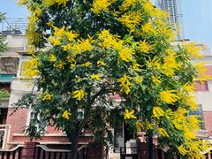 -天津五大道文化旅游区