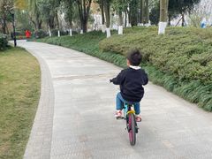 -成飞公园
