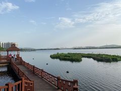 -陈大锅·岳阳鱼馆·地道岳阳菜(美食街店)