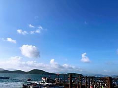 -100蛋泥浆浴