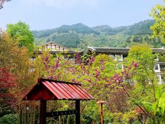 -剑河仰阿莎温泉小镇
