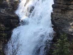 -阿萨巴斯卡瀑布观景点