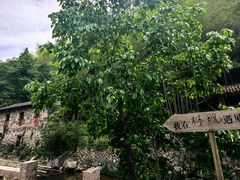 -林坑古村落