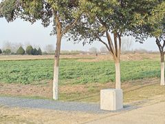 -汉长安城未央宫国家考古遗址公园