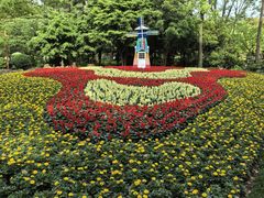 -上海共青森林公园