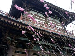 -西安青龙寺遗址景区