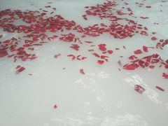 -湖泉半山温泉(湖泉生态园)