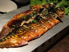 -铂米星座(瑞安店)