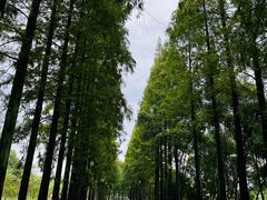 -青城山