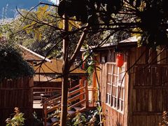 -天门沟九州驿站树上汤泉