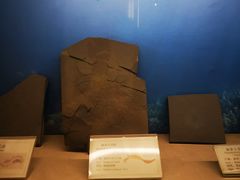 -辽宁古生物博物馆