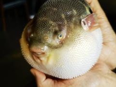 -永安鱼庄·镇江菜(东吴路店)