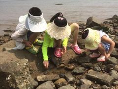 -兴城海滨风景区