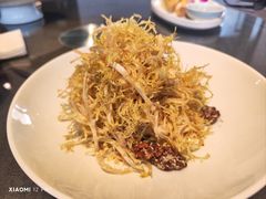 -碧丽宫大酒店(召稼楼店)