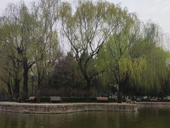 -团结湖公园