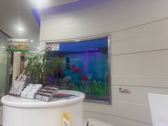 -雅悦齿科(顾村公园店)
