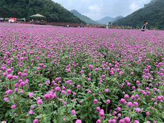 -广州市石门国家森林公园