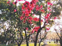 -荆川公园