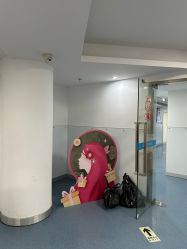 -温州伯思立医院