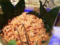 -万象·复兴号鲜肉烤肉海鲜自助(升级店)