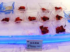 -澜悦港海鲜体验主题餐厅