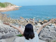 -广东惠东海龟国家级自然保护区