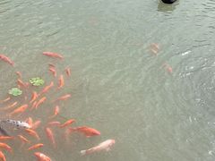 -静之湖度假区