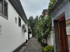 -白洋淀景区