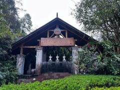 -腾冲洞山温泉村