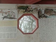 -紫霞湖公园