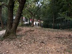 -虞山风景区
