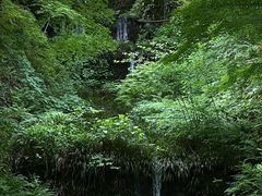 -三千院
