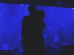-暹罗海洋世界