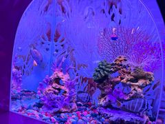 -秦皇岛新澳海底世界
