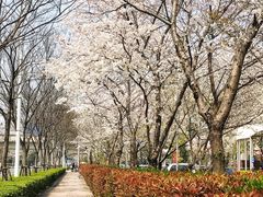 -榖屋house of flour(张江首店)