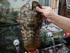 -大熊海鮮餐廳(富基漁港在地老店，僅此一家)